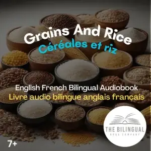 converted Grains And Rice English French Bilingual Kids Book