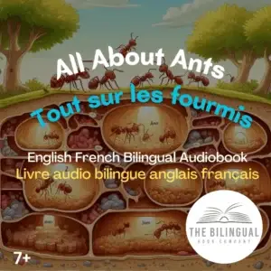 cover All About Ants English French Bilingual Kids Book