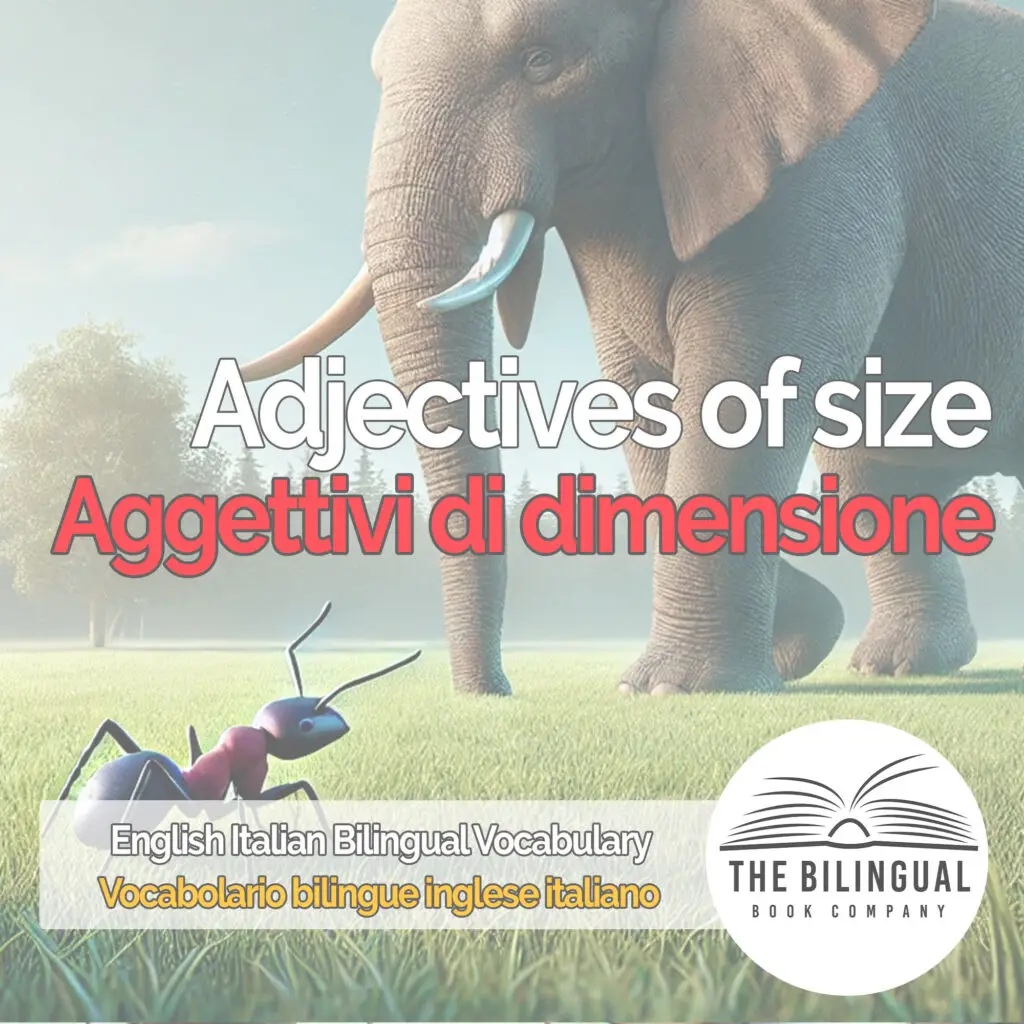 Adjectives of size english italian vocabulary