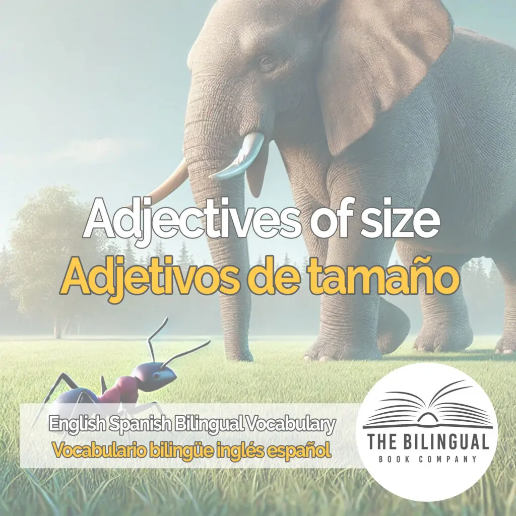 Adjectives of size english spanish vocabulary