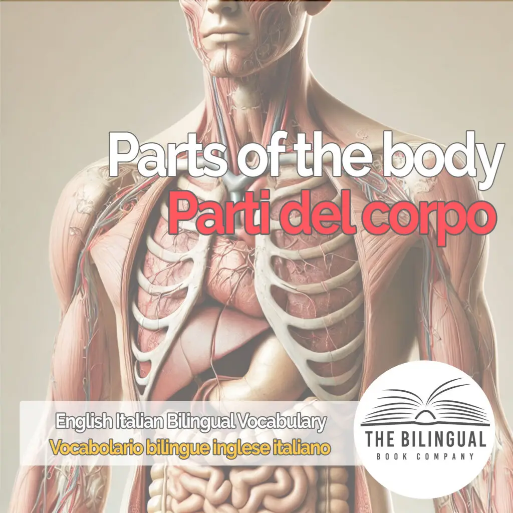 Parts of the body english italian vocabulary