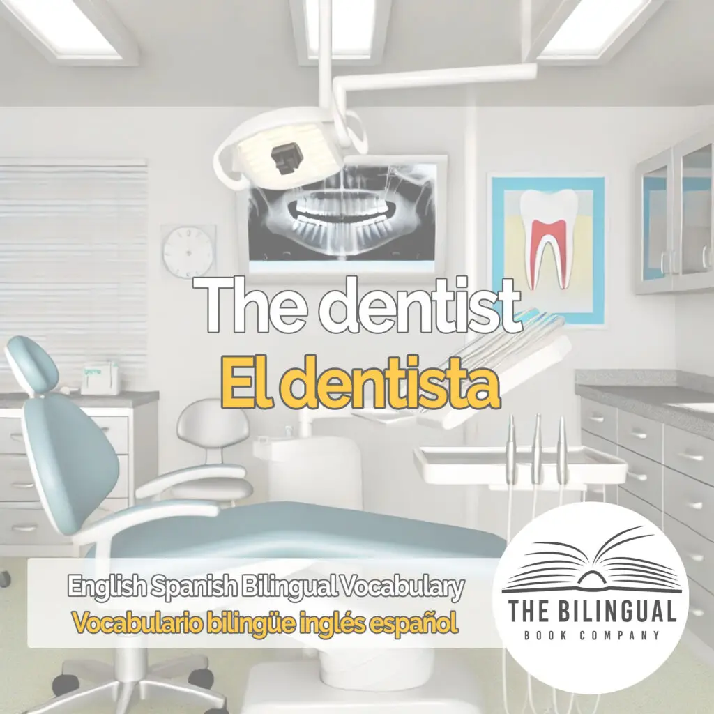 The dentist english spanish vocabulary