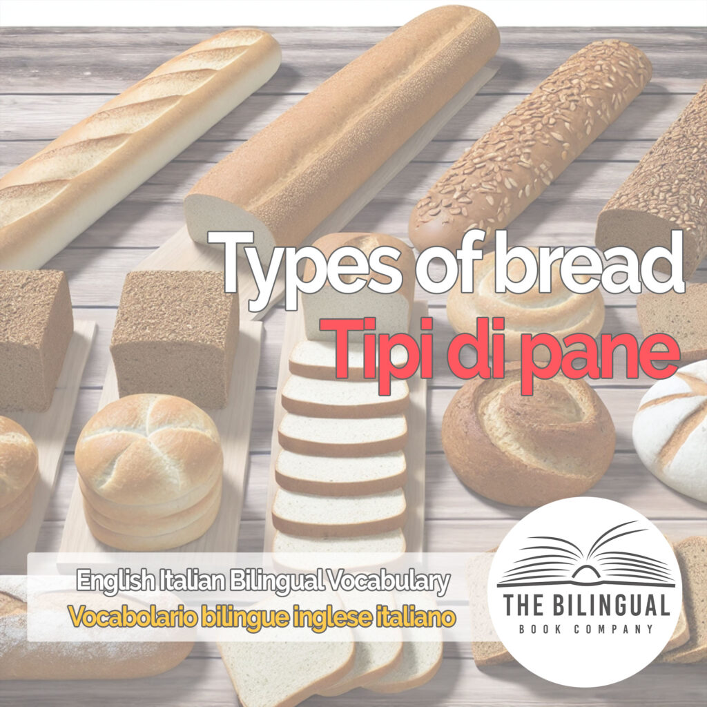 Types of bread english italian vocabulary