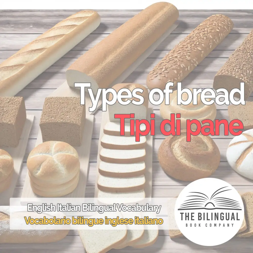 Types of bread english italian vocabulary