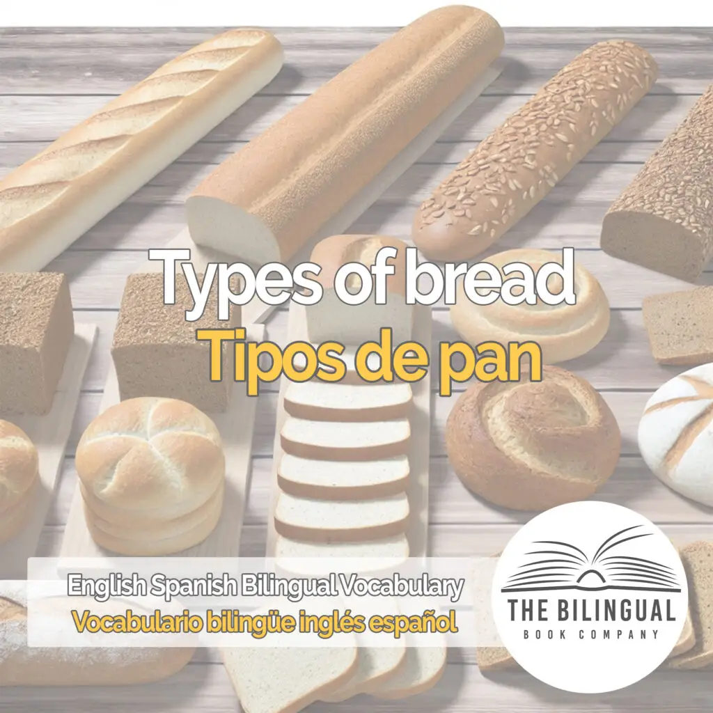 Types of bread english spanish vocabulary