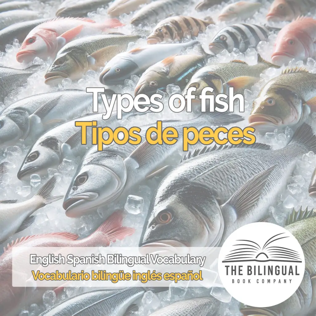 Types of fish english spanish vocabulary