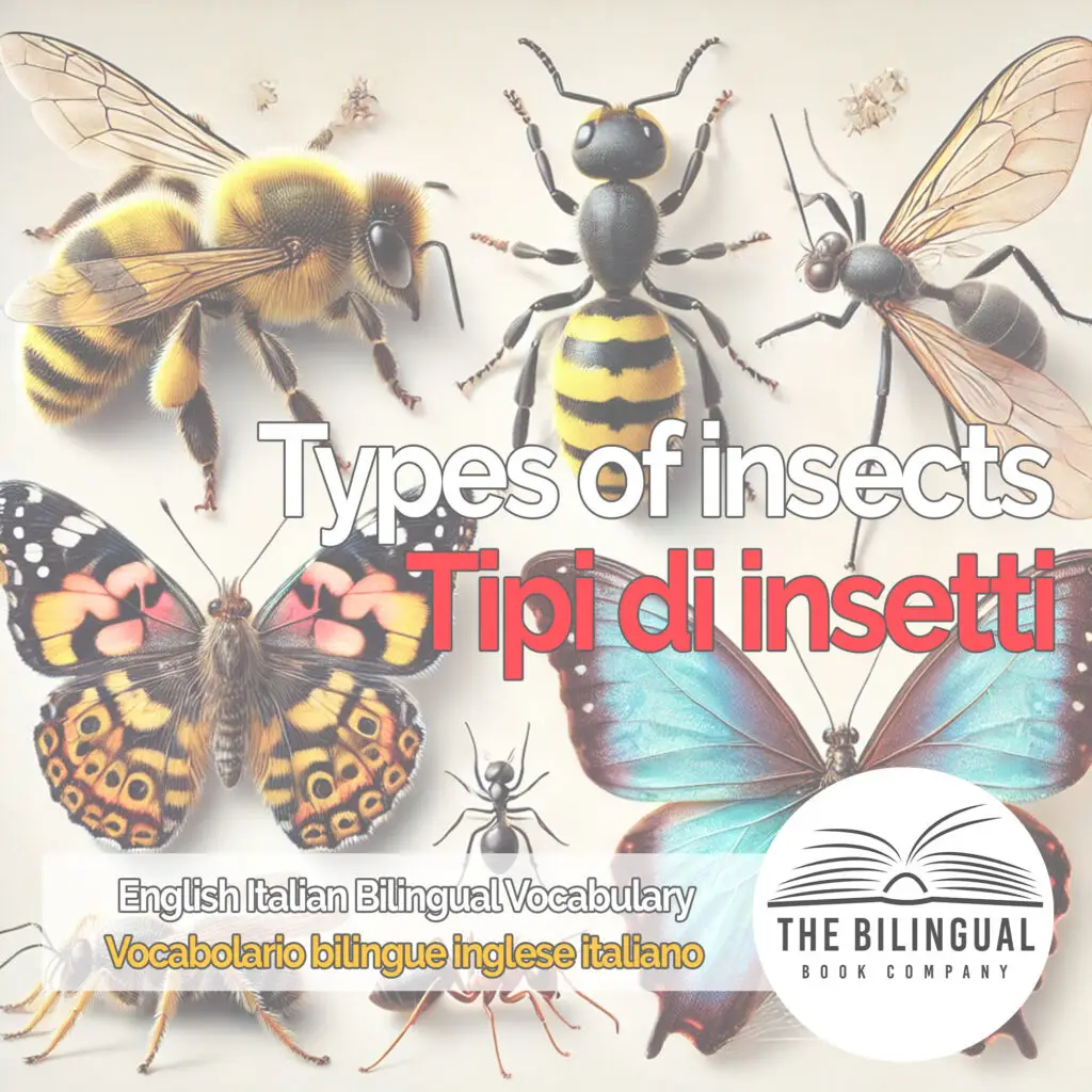 Types of insects english italian vocabulary