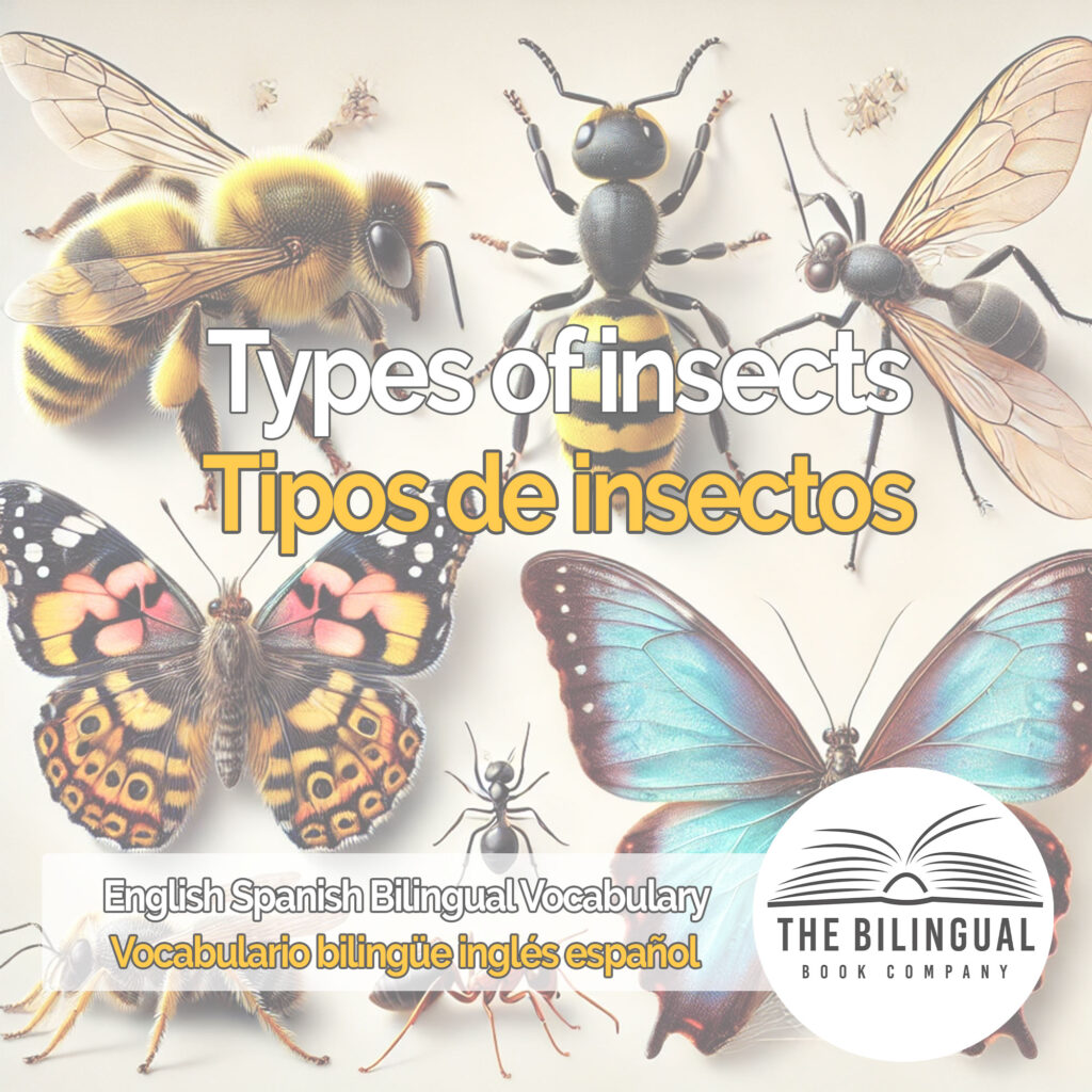 Types of insects english spanish vocabulary