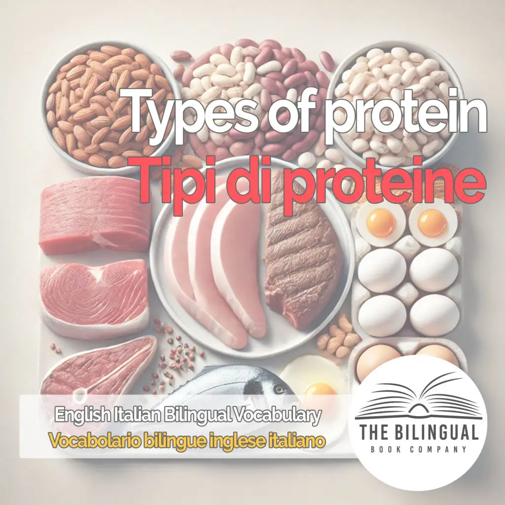 Types of protein english italian vocabulary