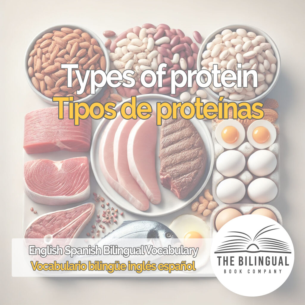 Types of protein english spanish vocabulary