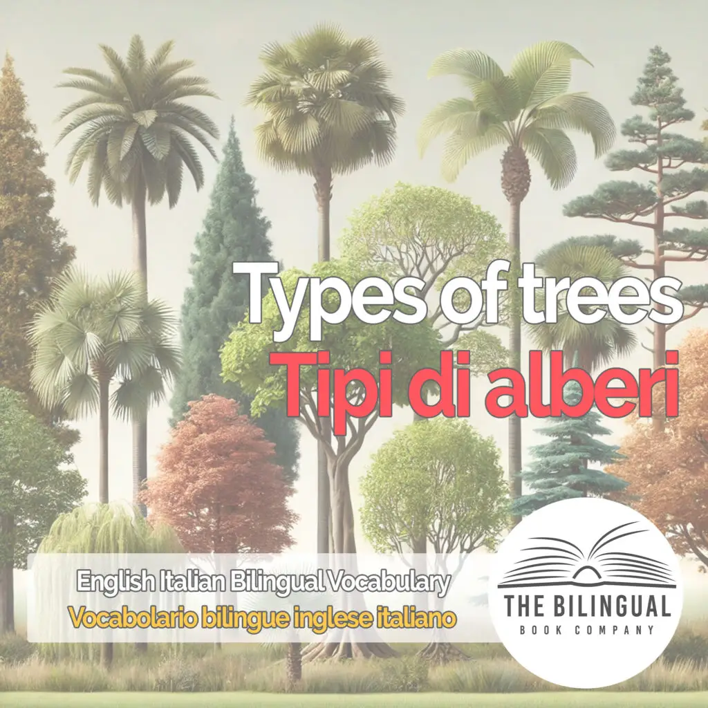 Types of trees english italian vocabulary