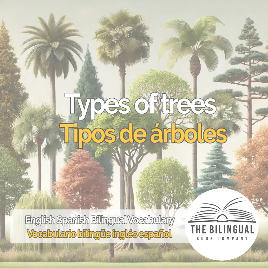 Types of trees english spanish vocabulary