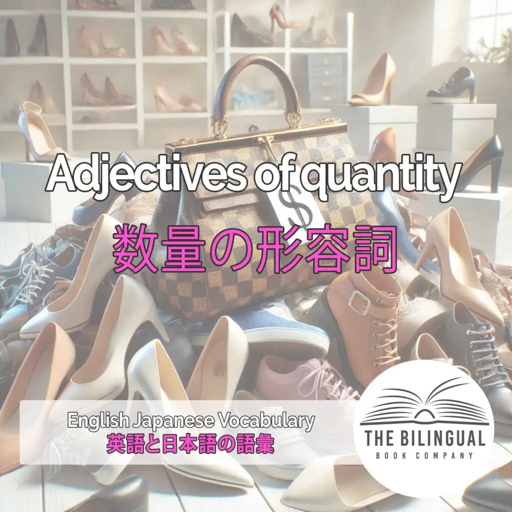 Adjectives of quantity English Japanese Vocabulary