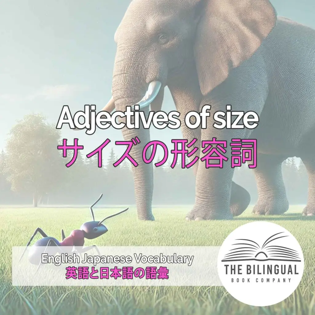 Adjectives of size English Japanese Vocabulary