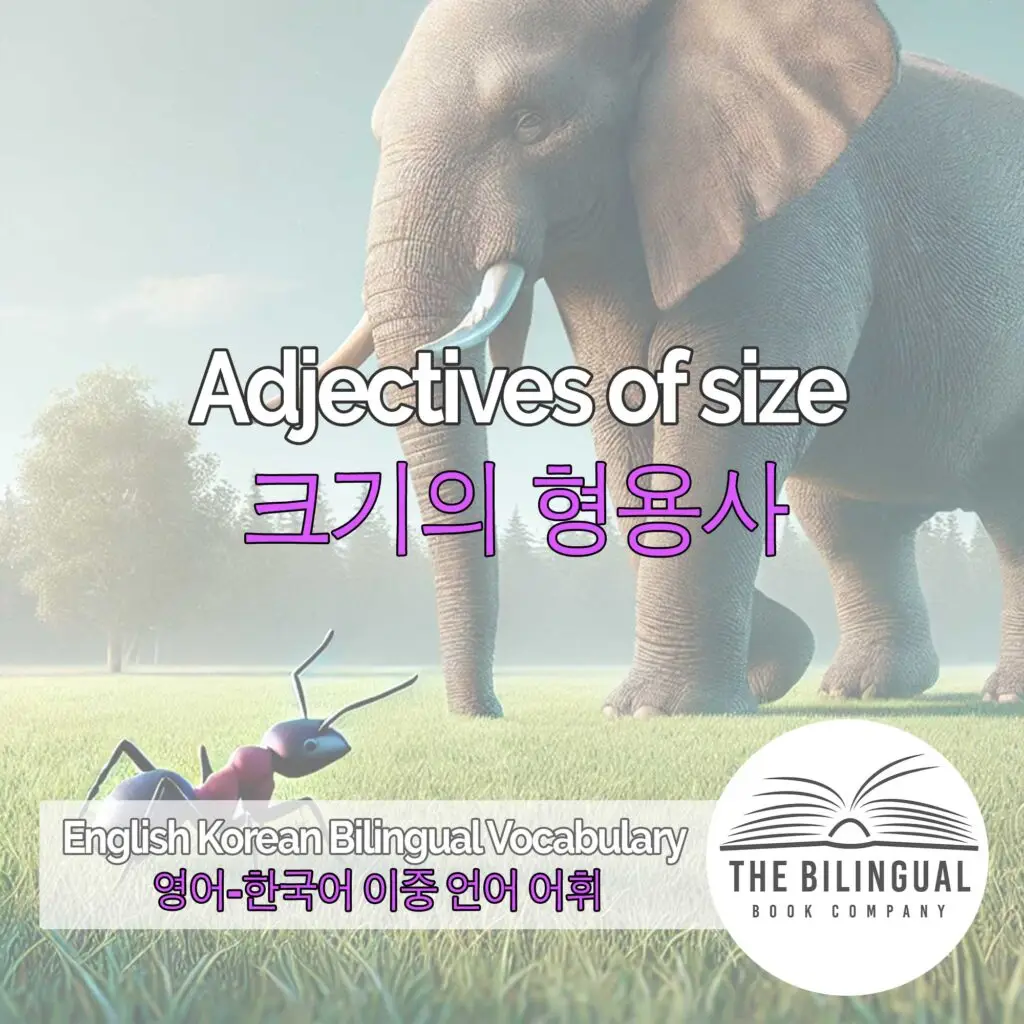 Adjectives of size English Korean Bilingual Vocabulary