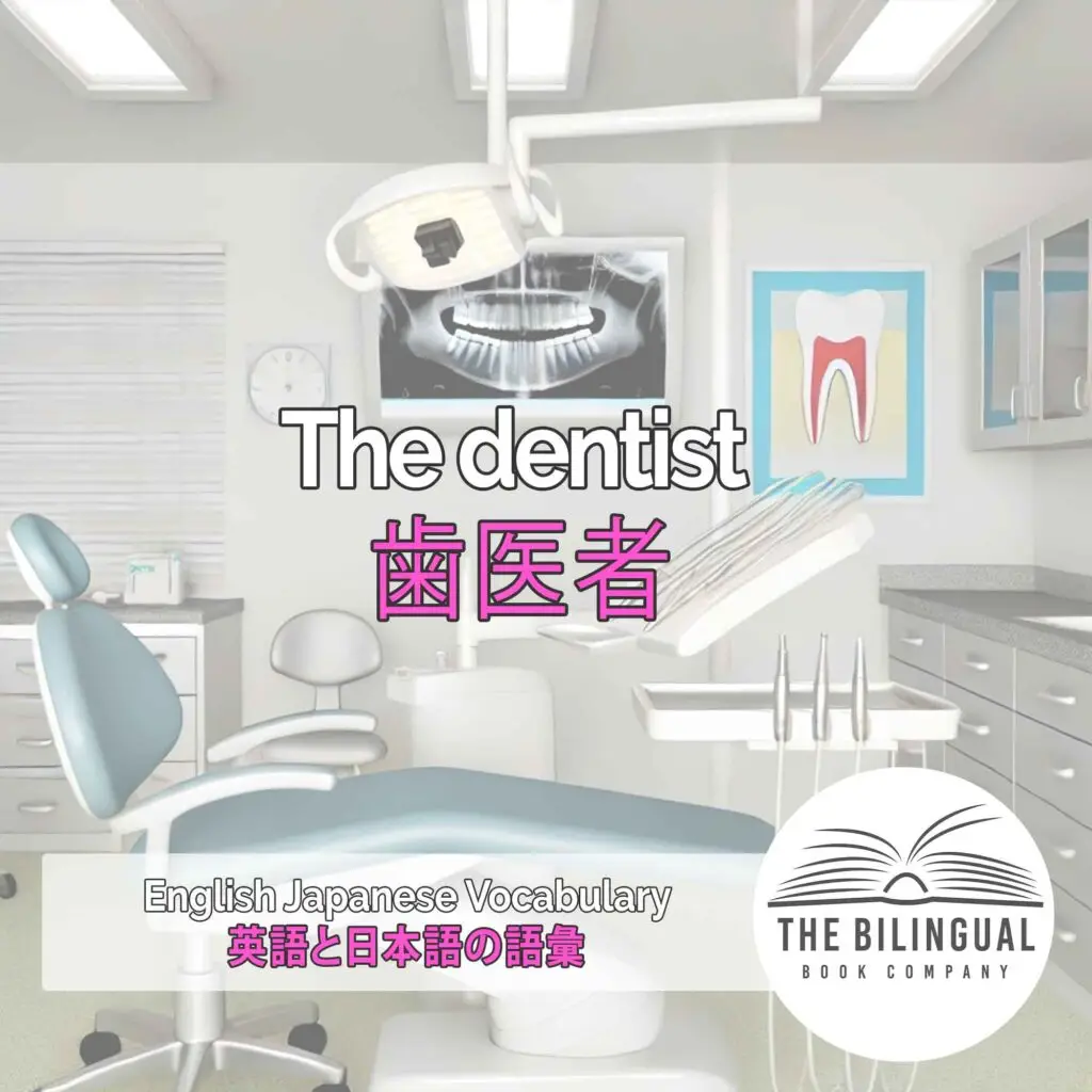 The dentist English Japanese Vocabulary