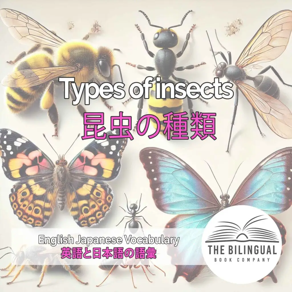 Types of insects English Japanese Vocabulary