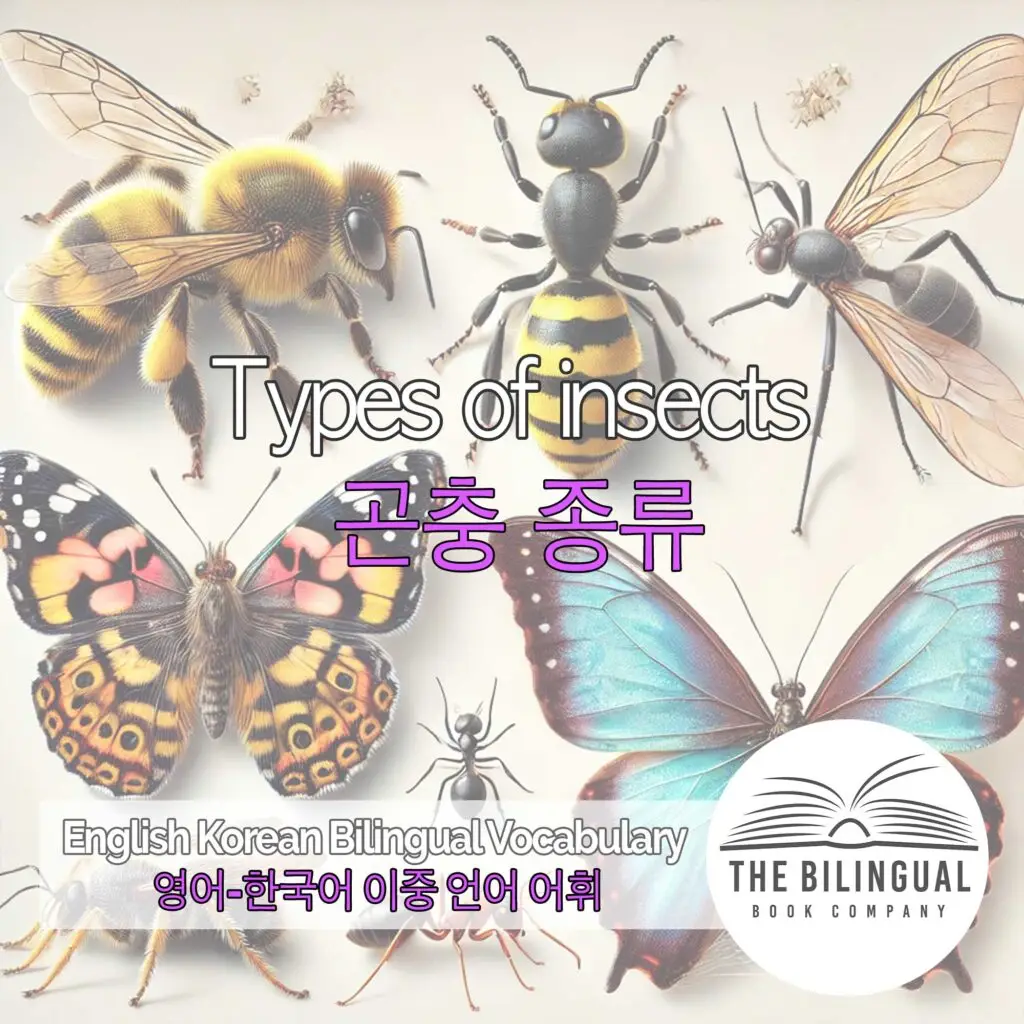 Types of insects English Korean Bilingual Vocabulary