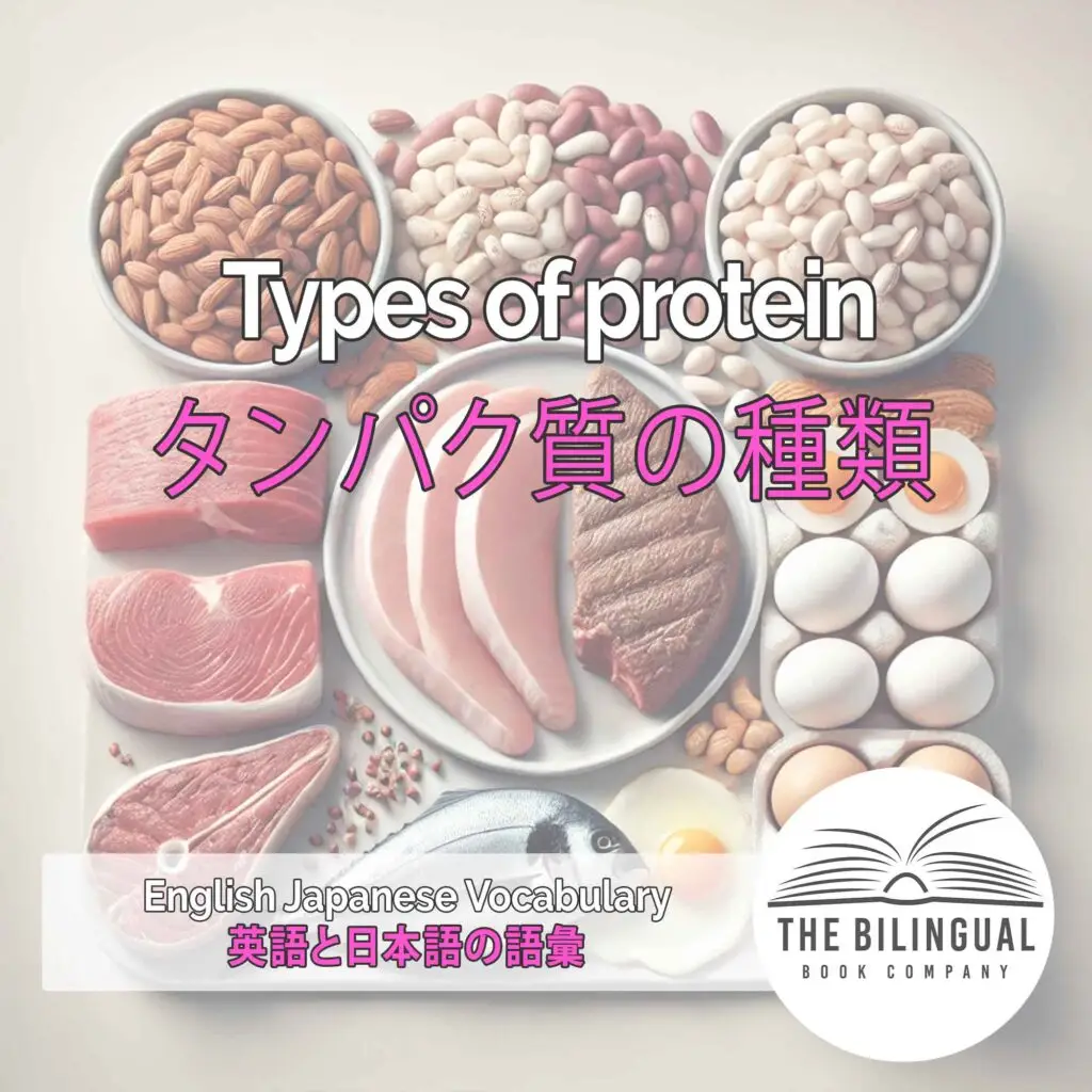 Types of protein English Japanese Vocabulary