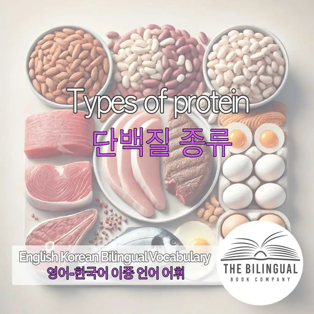 Types of protein English Korean Bilingual Vocabulary