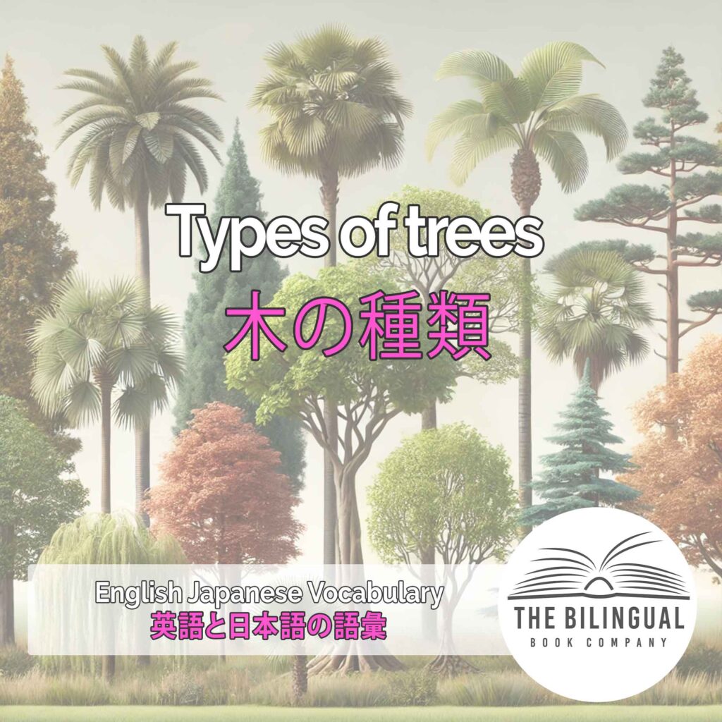 Types of trees English Japanese Vocabulary