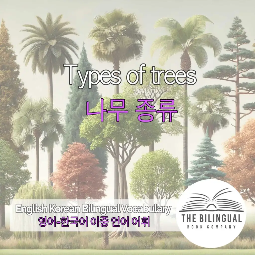 Types of trees English Korean Bilingual Vocabulary