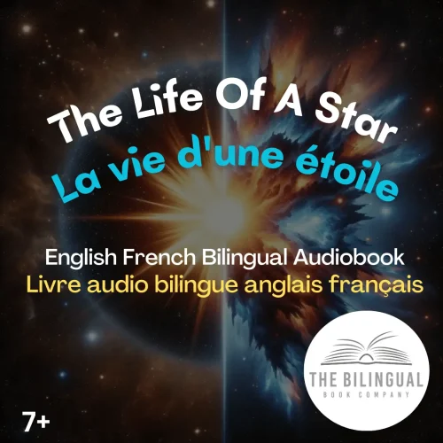 The Life Of A Star English French Bilingual Kids Book